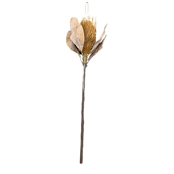 Kunstpflanze Distel braun, 66cm