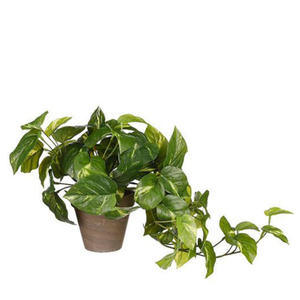 Kunstpflanze Efeutute hängend, Pothos grün im Topf, Hängepflanze, Mica Decorations