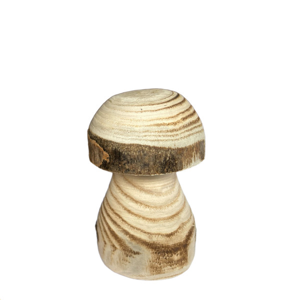 Deko Pilz Naturholz, Holzpilz Natur mit runder Kappe, 6x10cm, DIJK Natural Collections