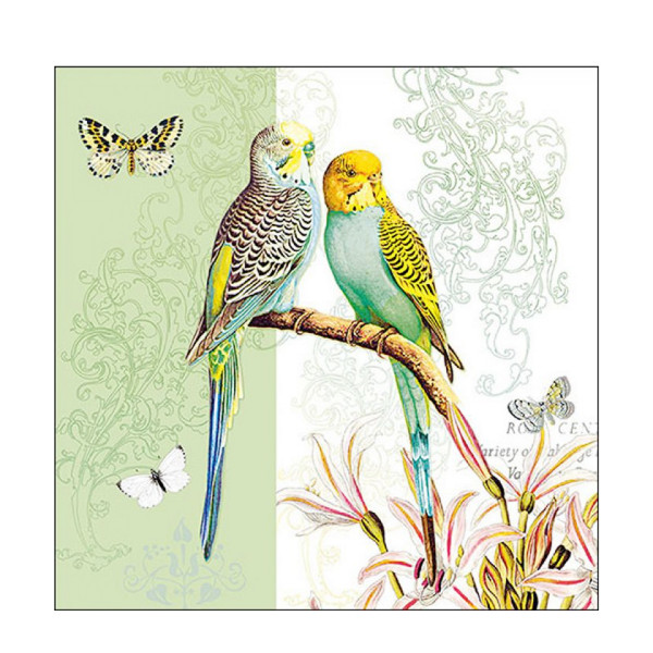 Ambiente Papierservietten, Wellensittiche, Budgies Green, Lunch, 33x33cm