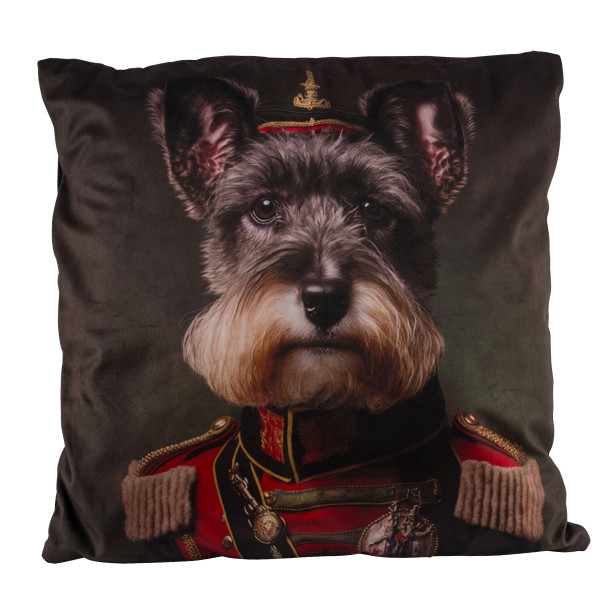 Samtkissen Hund, stolzer Admiral Dackel in Uniform, 45x45cm