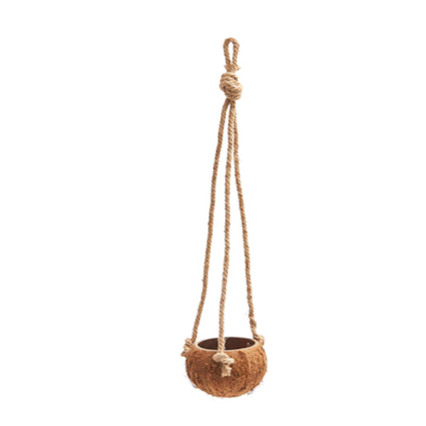 Hängeampel Kokosnuß, Kokosschale zum Hängen, Blumenampel, 65cm