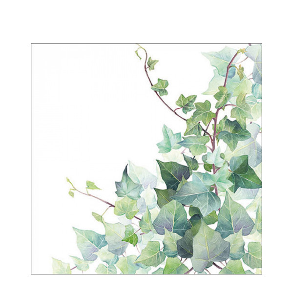 Ambiente Papierservietten Efeublätter, Ivy, 33x33cm