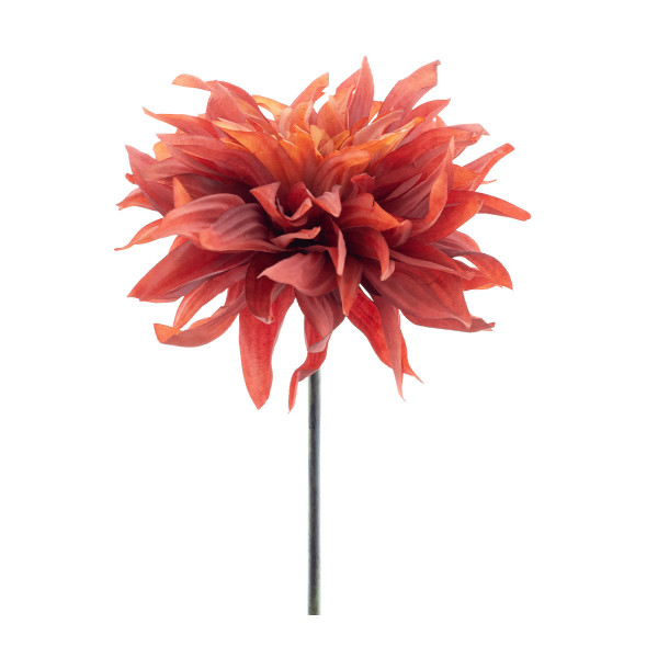 Kunstpflanze Dahlie, rot, 31cm, Nova Nature