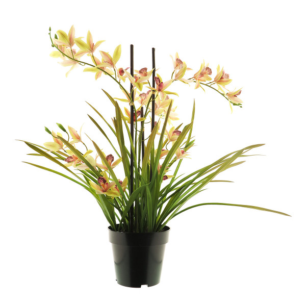 Kunstpflanze Orchidee im Topf, Meadow pink, 71cm, getopft