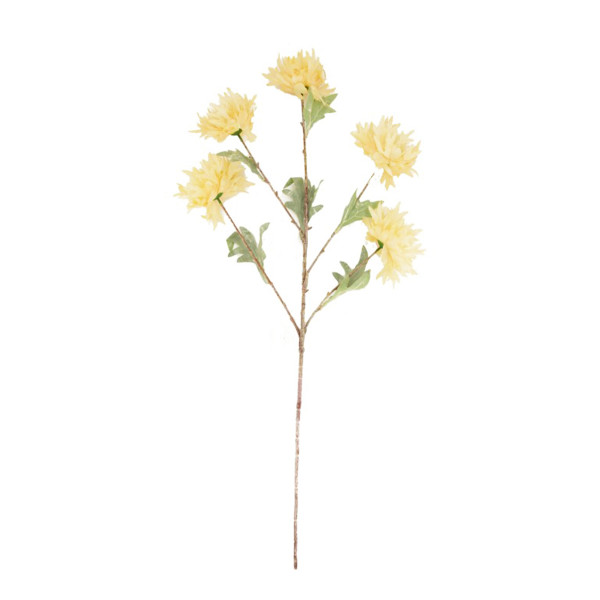 Kunstpflanze Actiniaria Zweig, beige, 95x35cm