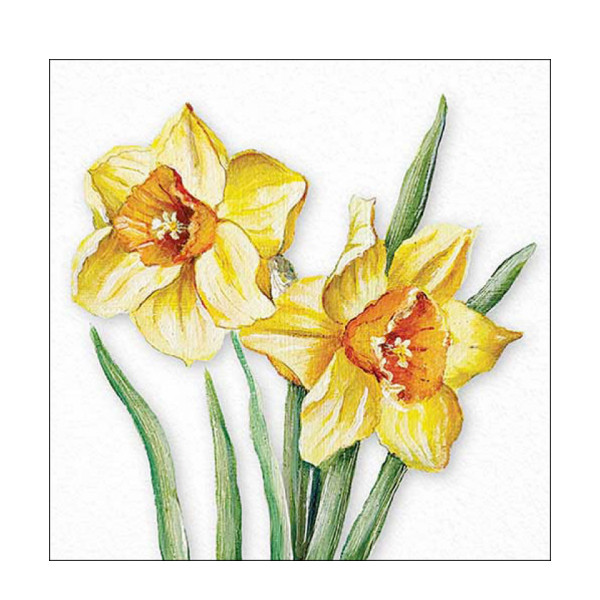 Ambiente Papierservietten, Frühlingsblumen Narzissen, 33x33cm