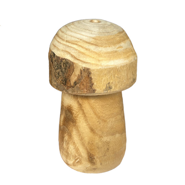 Deko Pilz Naturholz, Holzpilz Natur mit runder Kappe, 8x13cm, DIJK Natural Collections