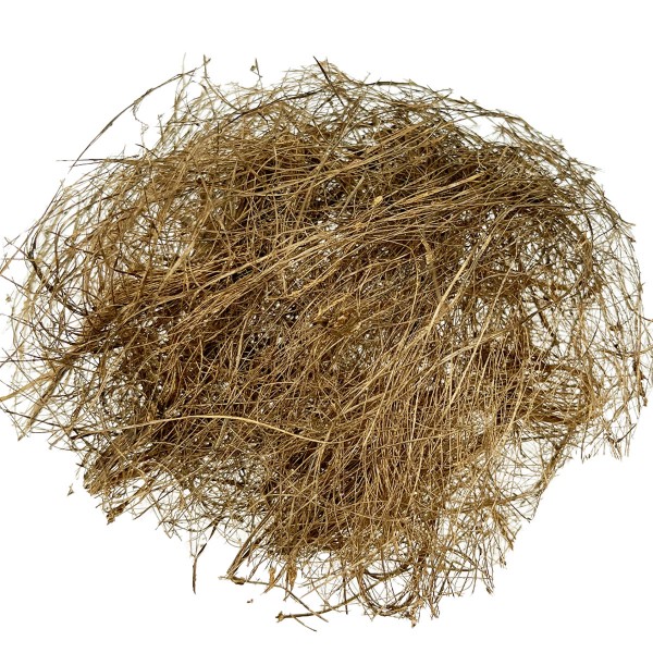 Sisal gefärbt antik gold 10gr im Beutel