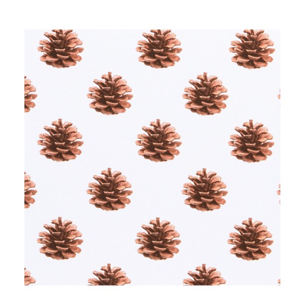 Geschenkpapier Weihnachten Zapfen Rolle 2mx70cm Star