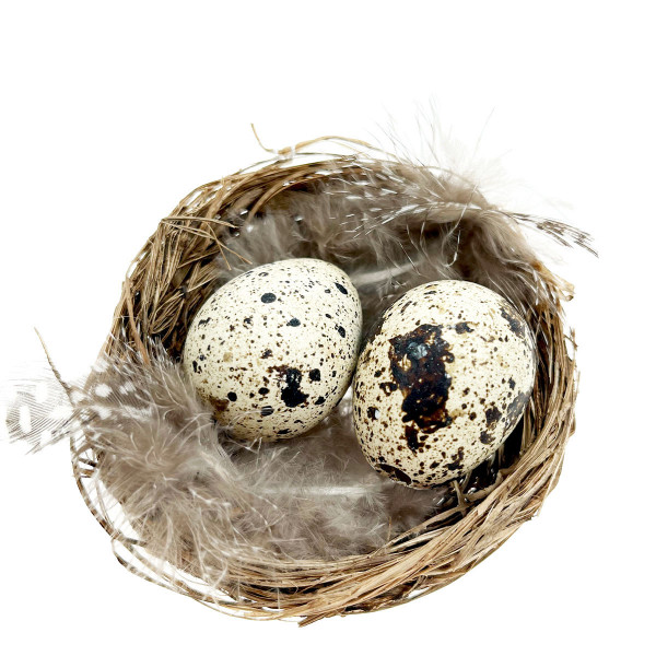 Deko Vogelnest Natur, kleines Weidennest mit Wachteleier und Federn, Ø6cm