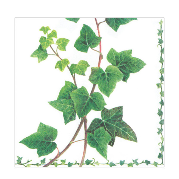 Ambiente Papierservietten Efeublätter, Ivy Tendril, 33x33cm