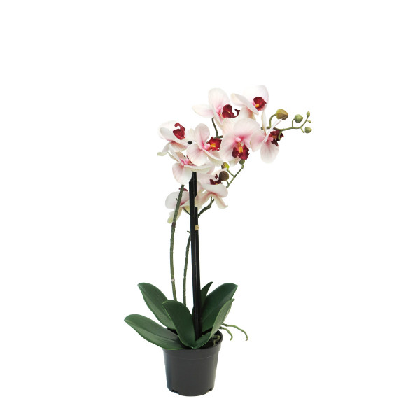 Kunstpflanze Orchidee im Topf, Schmetterlingsorchidee pink, Phalaenopsis Bora, 35cm, getopft