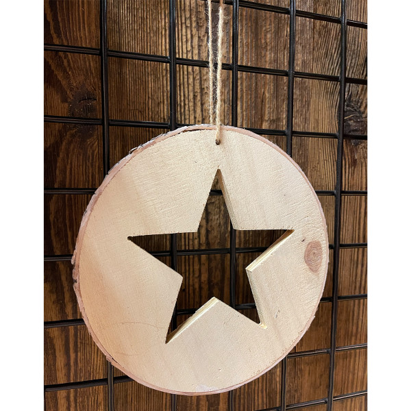 Deko Holzhänger Birke, runde Holzscheibe mit Stern, Ø20cm, weihnachtliche Naturdeko 