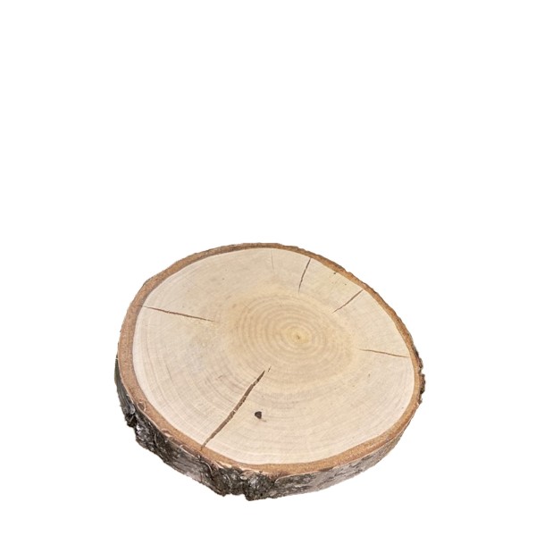 Natur Holzscheibe Birke, rund, Ø15cm