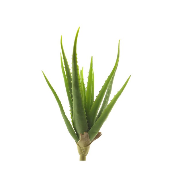 Deko Aloe Vera Pflanze, 41cm, Pick