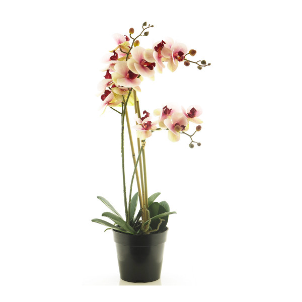 Kunstpflanze Orchidee im Topf, Schmetterlingsorchidee pink, Phalaenopsis Bora, 60cm, getopft