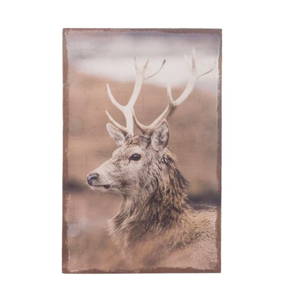 Leinwandbild Hirsch, 38x58cm